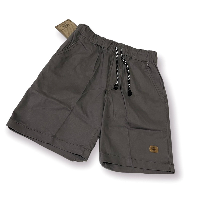 Celana Pendek Boardshort Pria Premium / Boardshort Pants