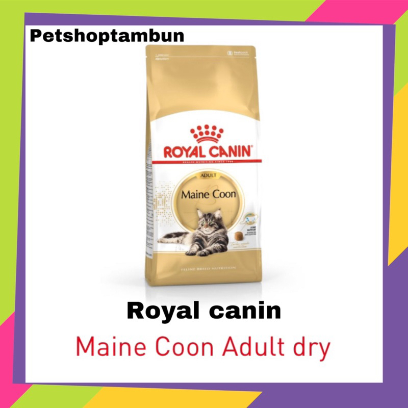 original royal canin maine coon adult 4kg frespack
