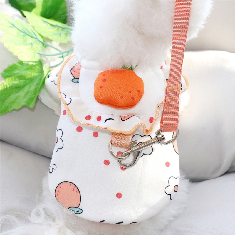 Mallory korea fruit harness set with leash