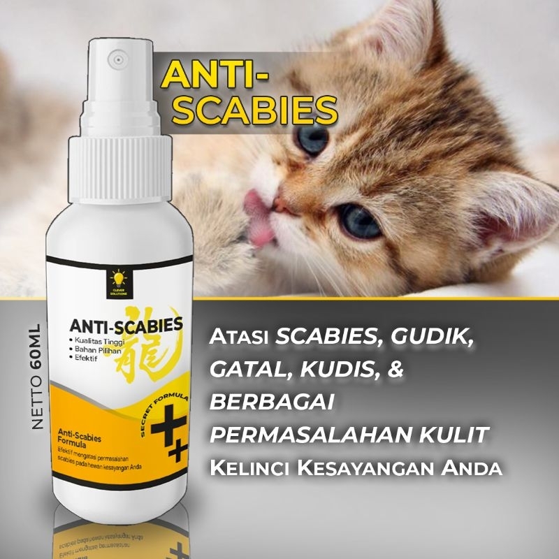 Obat Jamur Kucing Kelinci Scabies Demodex Impetigo Jamur Kutu Parasit Cacing Hati Gatal Kulit ANTI SCABIES by Clever Solutions