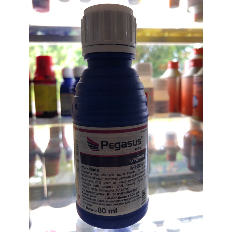 Pegasus 80 ml / Insektisida