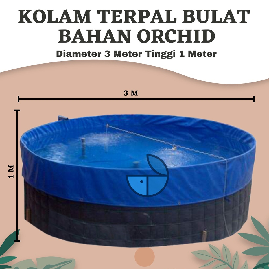 Kolam Terpal Bulat Diameter 3 Meter Tinggi 1 Meter Bahan Orchid Semi Karet Untuk Ikan Nila Koi Lele 