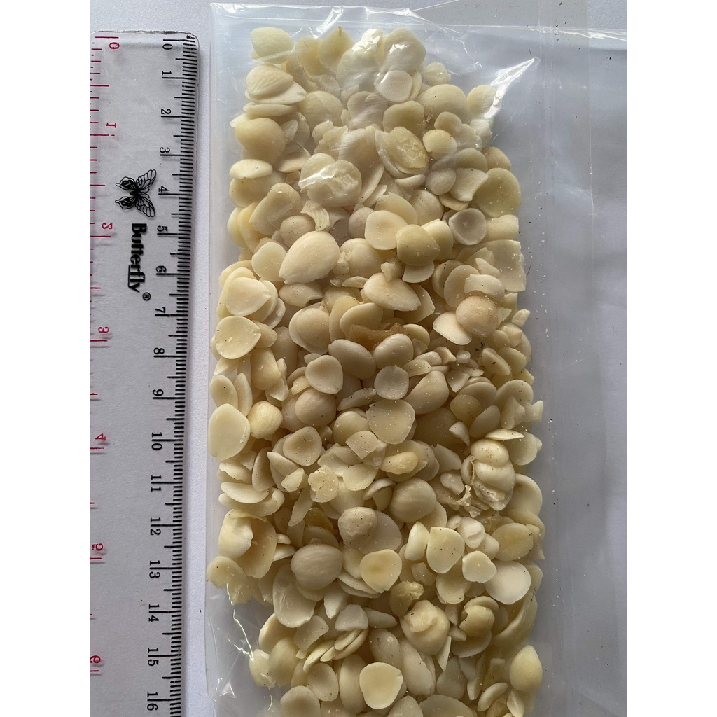 

Bei Xing Ren / Apricot Seed / 光北杏仁 100 gram
