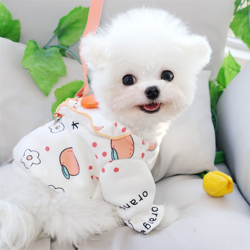 Mallory korea fruit harness set with leash