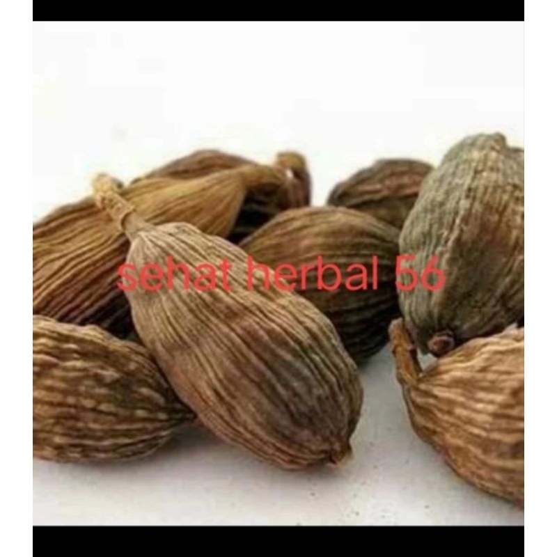 

cao Guo black cardamom kapulaga hitam tsaoko amomum fruit 100gram