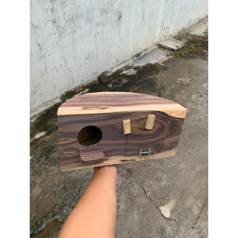 gelodok glodok setengah lingkaran lovebird dll