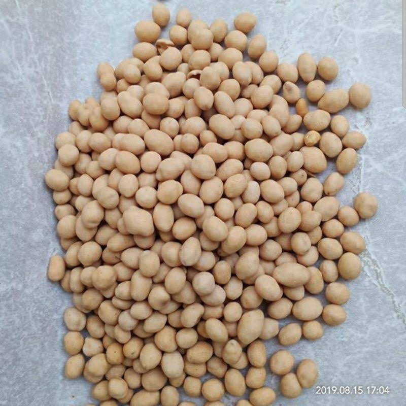 

SP Kacang Atom Oven 250 Gram