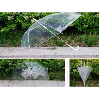 NUZ IKILOSHOP Payung Transparan Bening umbrella transparant Korea white umbrella
