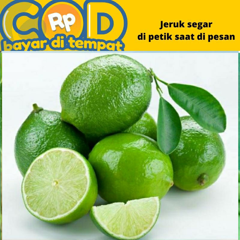 

Jeruk nipis segar 500 gram