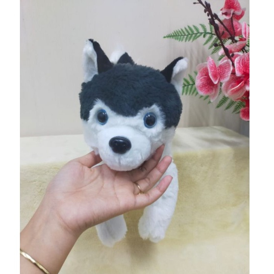 Boneka Laying Dog Huzky Size 17&quot;/20cm/boneka anjing/boneka animal/Boneka Husky/Boneka Srigala