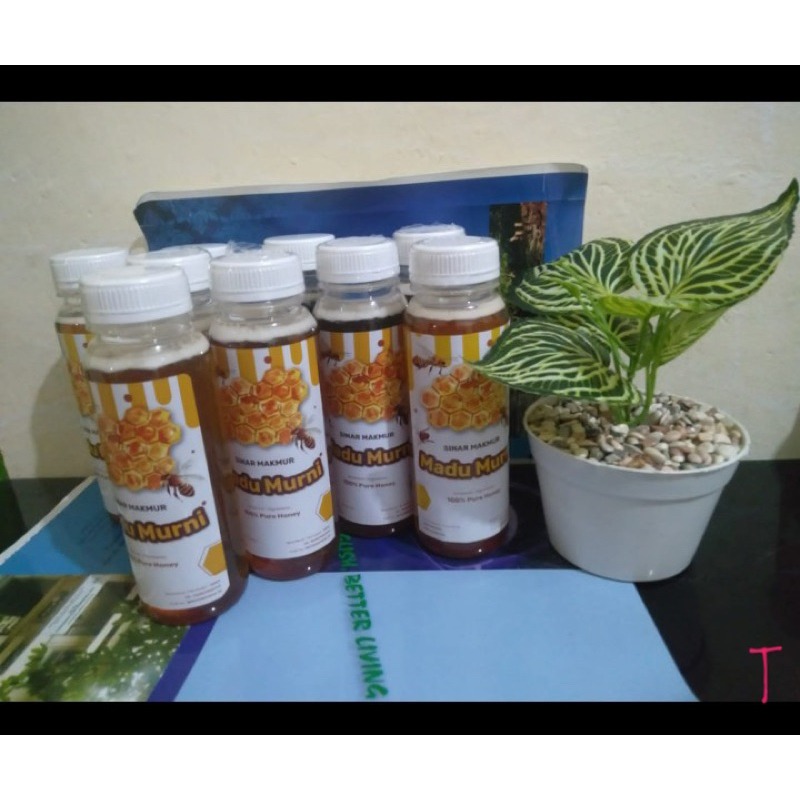 

Madu Murni Asli