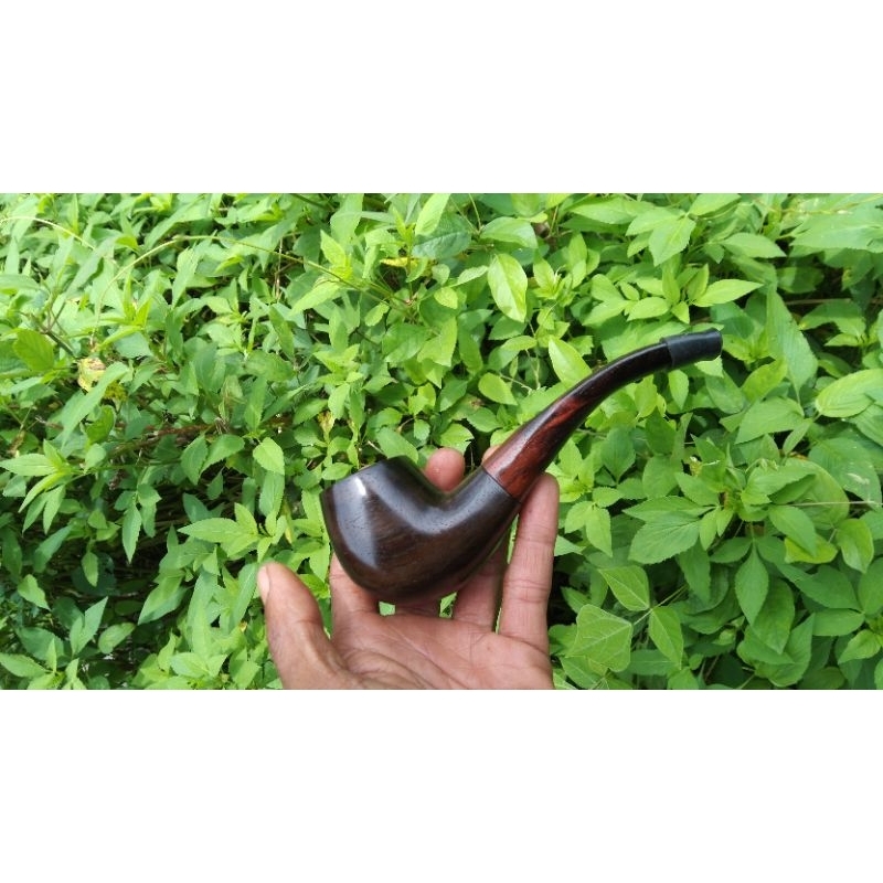 cangklong kayu sonokeling