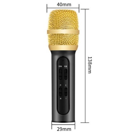Microphone Recording & Karaoke