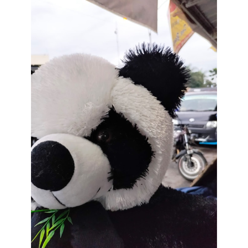 Boneka Panda Rumput Extra Large Label SNI