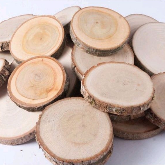 Jual Wood Slice Potongan Kayu Log Potongan Kayu Kecil Cm Shopee