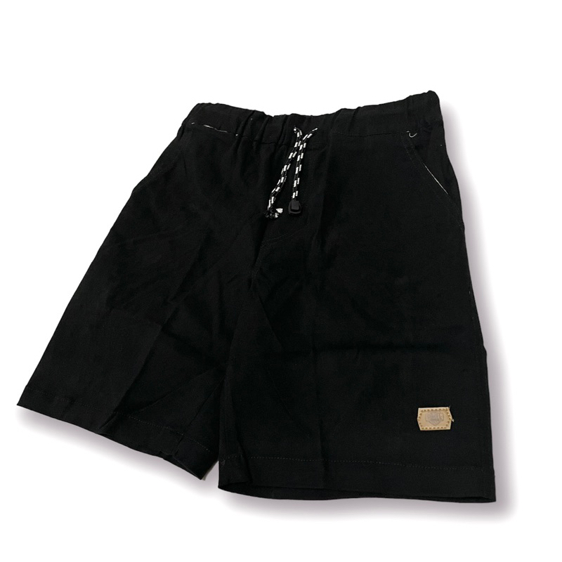 Celana Pendek Boardshort Pria Premium / Boardshort Pants