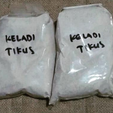 

TERBAIK JAMU BUBUK KELADI TIKUS/ KLADI TIKUS 1 KG [ORIGINAL]