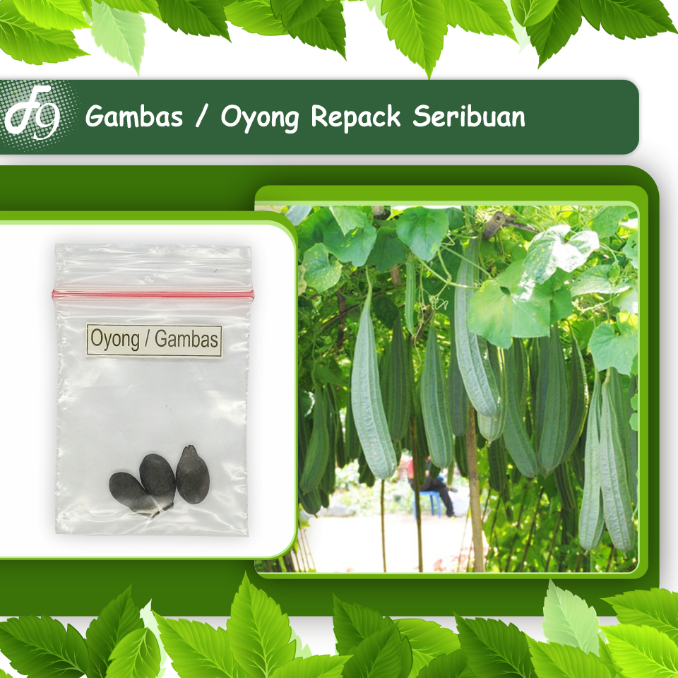 Benih Bibit Sayuran Buah Lengkap Murah Repack Seribuan