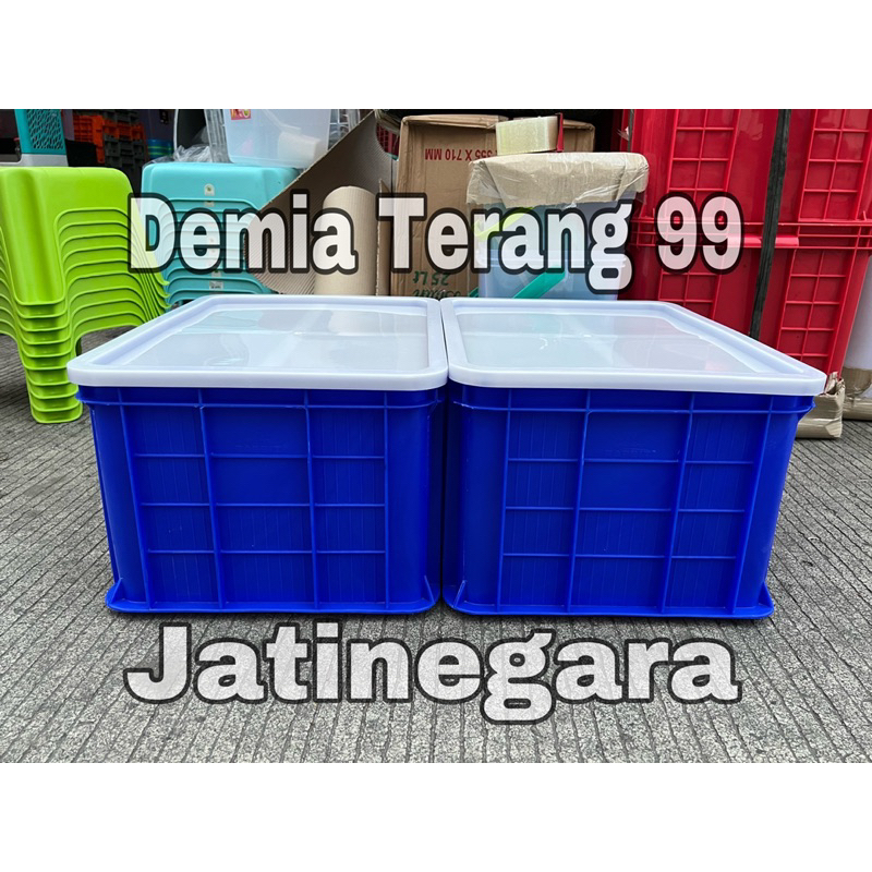 Box Ac 3033 Rabbit + Tutup  / Container Plastik Serbaguna