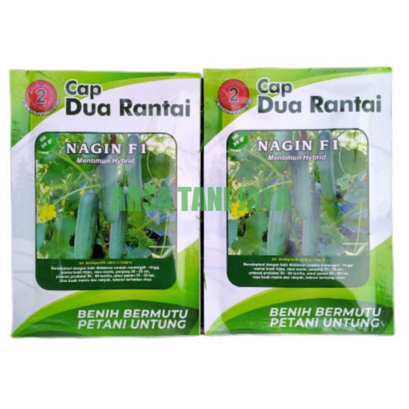 Jual Benih Timun Hibrida Nagin F Gram Cap Dua Rantai Shopee