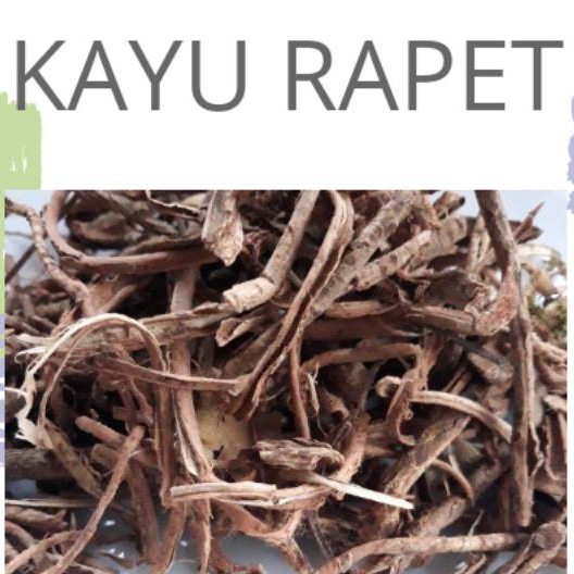 

TERBAIK KAYU RAPET KERING 250 GRAM