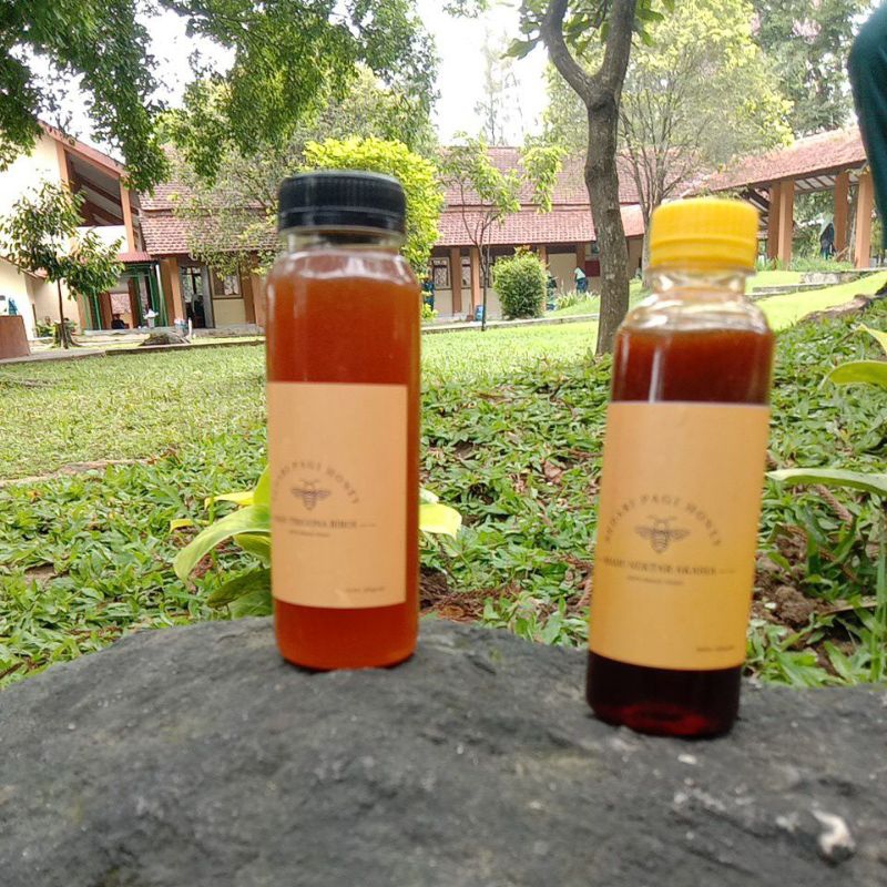 

Madu klanceng