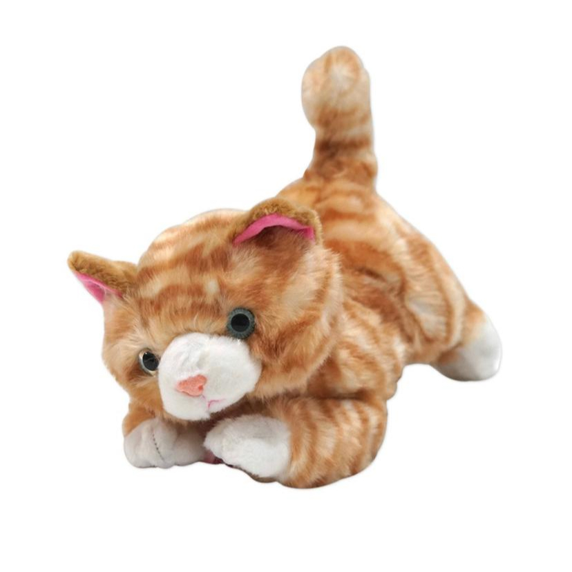 ORI ISTANA BONEKA ISBON BONEKA KUCING TABY CAT LUCU