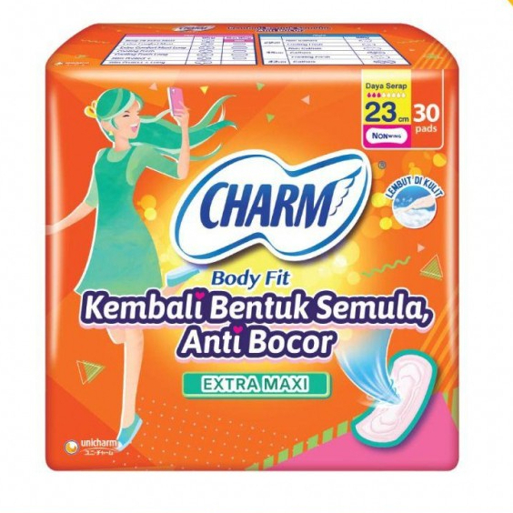 CHARM EXTRA MAXI NON WING 23CM ISI 30