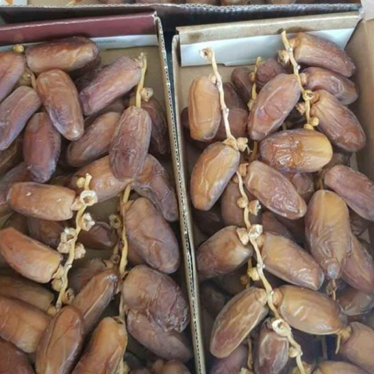 

Kurms tunisia 1KG/tunis tangkai KEMASAN DUS /palm tangkai 1kg