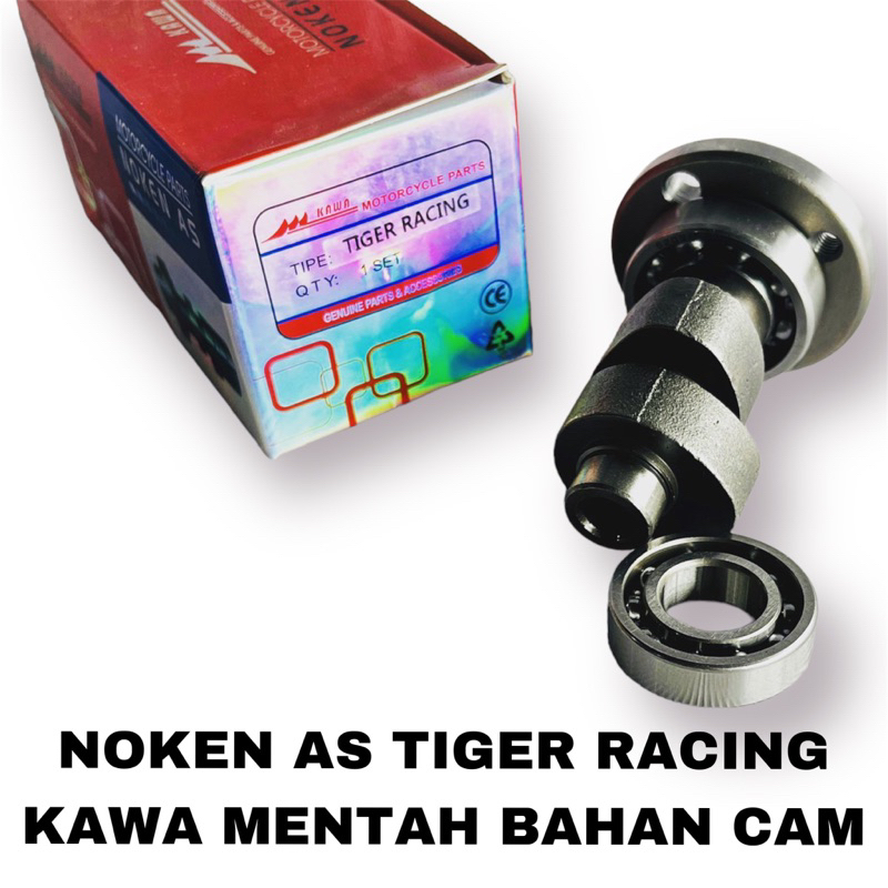 NOKEN AS KAWA TIGER RACING CAM