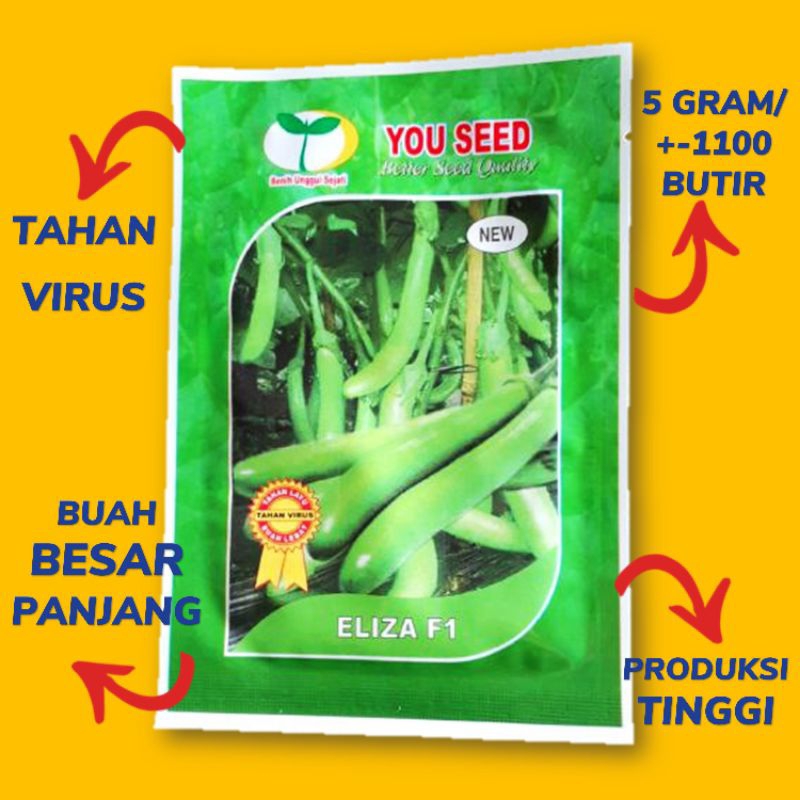 Benih Terong Hijau Tahan Virus ELIZA F1 5 gram / Bibit Terong Hijau F1 ELIZA F1 You Seed 5 gram / Be