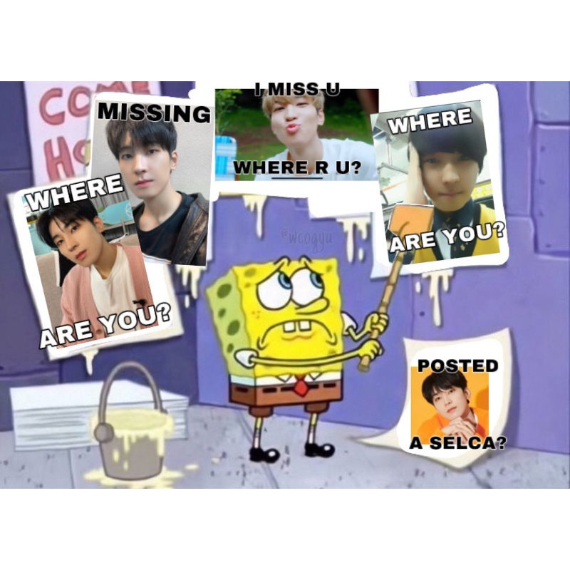 READY STOCK DICON 102 SEVENTEEN WONWOO SET LEMTICULAR