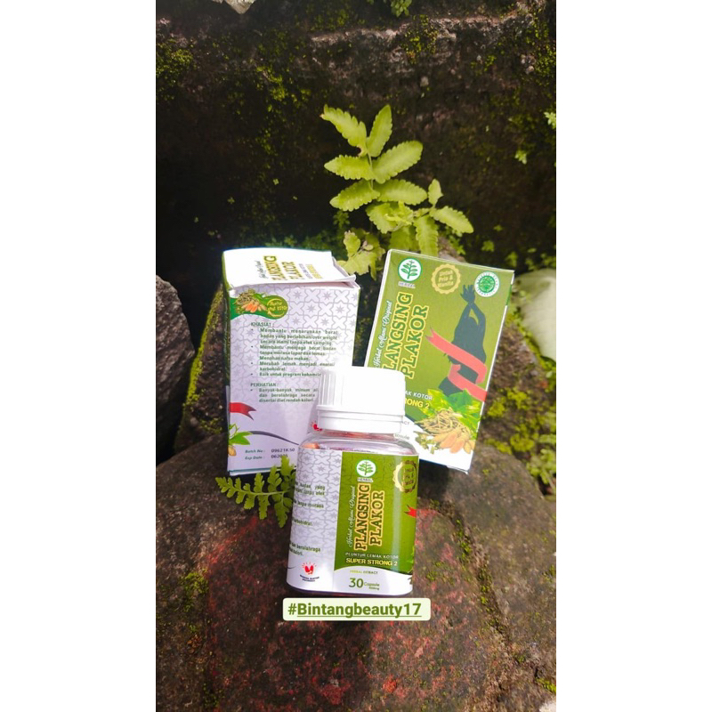 PELANGSING PLAKOR PLANGSING PELAKOR PELUNTUR LEMAK KOTOR SUPER STRONG 2