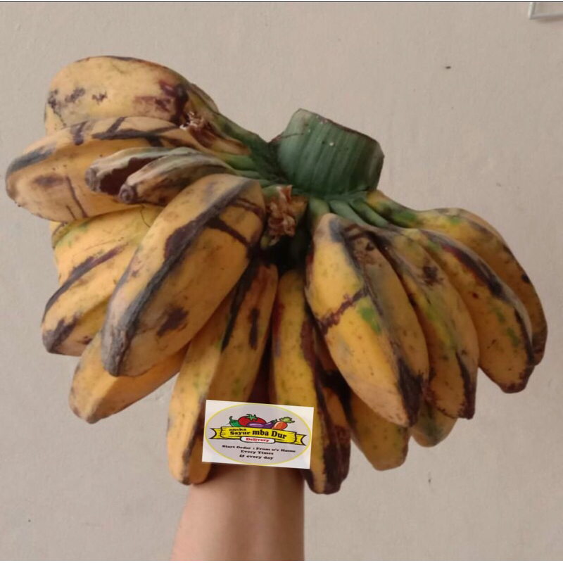 

Pisang Kepok / Pisang Gepok