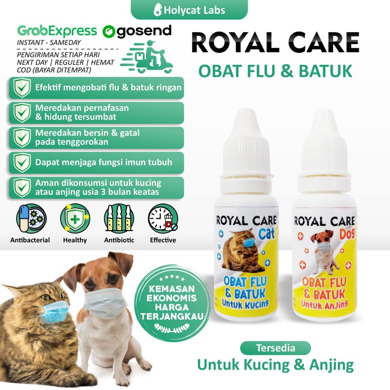 obat flu batuk kucing royal care