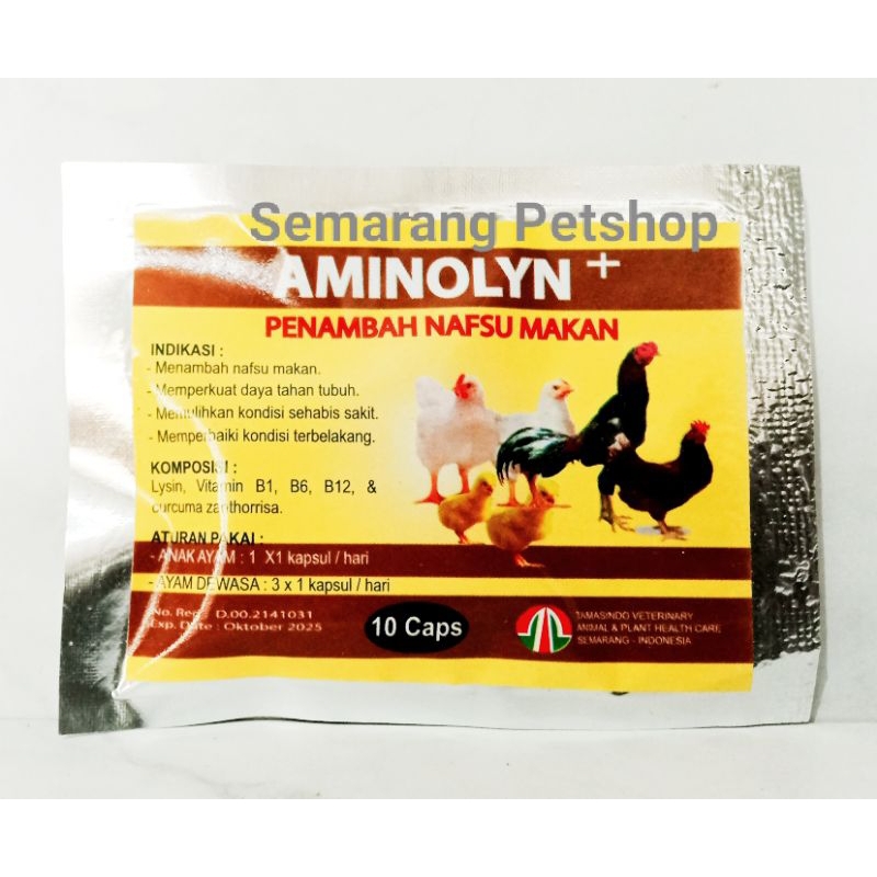 Vitamin Suplemen Nutrisi Obat Penambah Nafsu Makan Ayam Jago Bangkok Aduan AMINOLYN PLUS