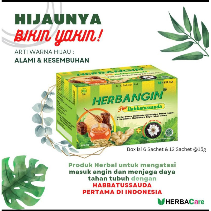 HERBANGIN PLUS HABBATUSSAUDA ISI 12
