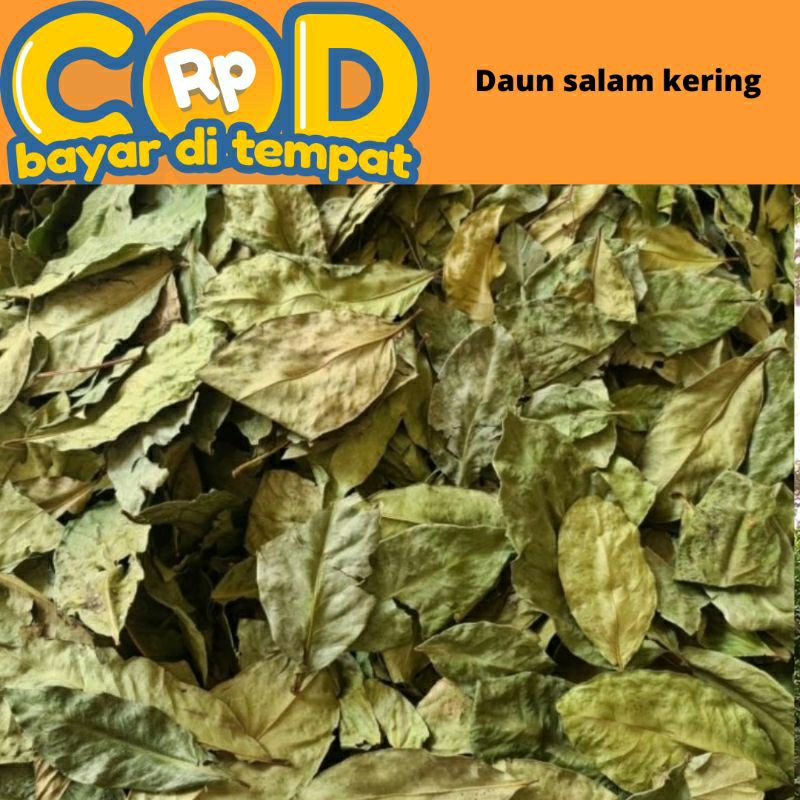

Daun salam kering 100 gram