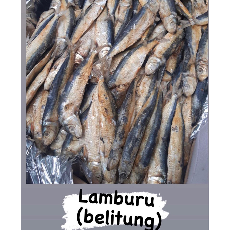 

lamburu asli belitung