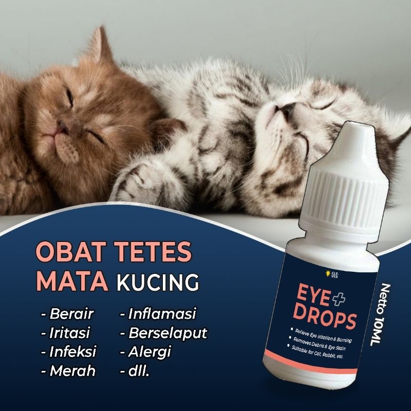 Obat Tetes Mata Kucing EYE PLUS DROPS Obat Sakit Mata Kucing Belekan Iritasi by Clever Solutions