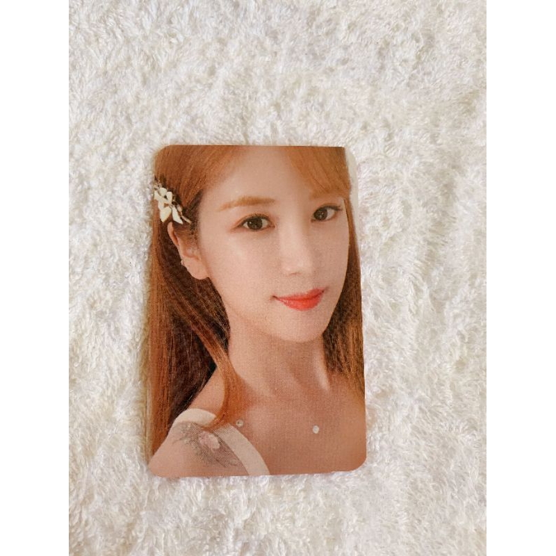 APINK CHORONG PERCENT % PHOTOCARD