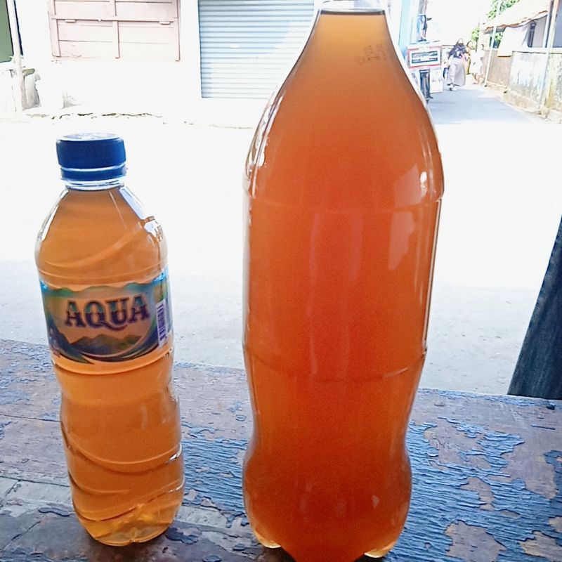 

jamu mengkudu