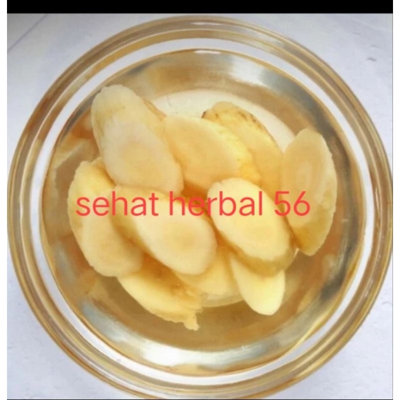 Jual Astragalus Membranaceus Root Tea / Huang qi 1kg Shopee Indonesia