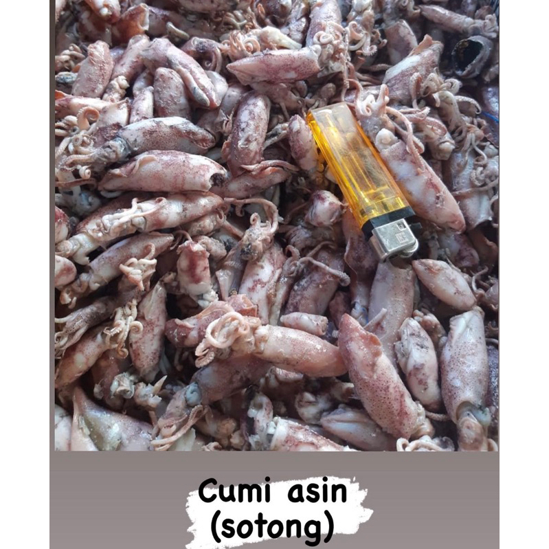 

cumi asin