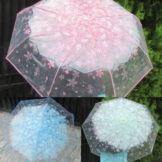 IKILOSHOP Payung Bunga Sakura Payung Transparant Bening Korea Umbrella
