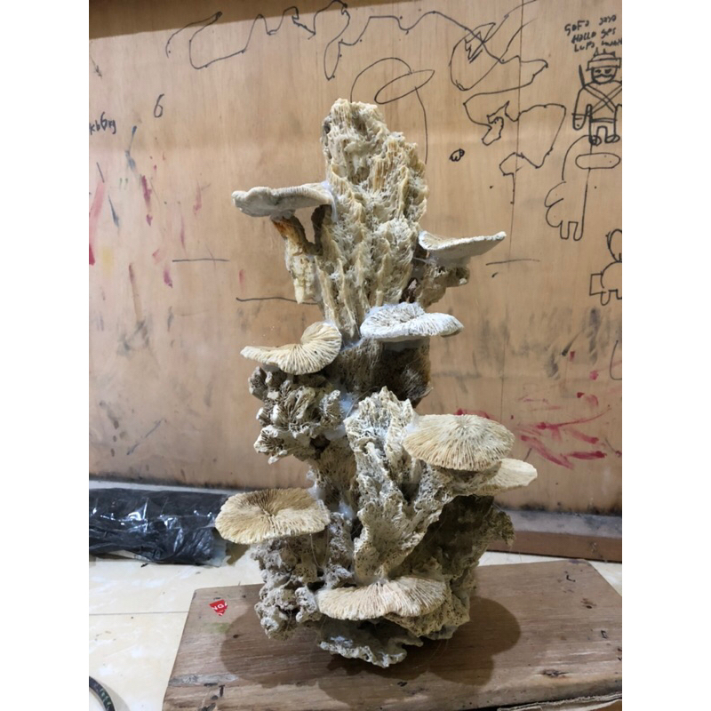 TRUMBU KARANG LAUT AQUARIUM AQUASCAPE BENTUK SPESIAL UKURAN JUMBO ORNAMEN BATU KARANG LAUT