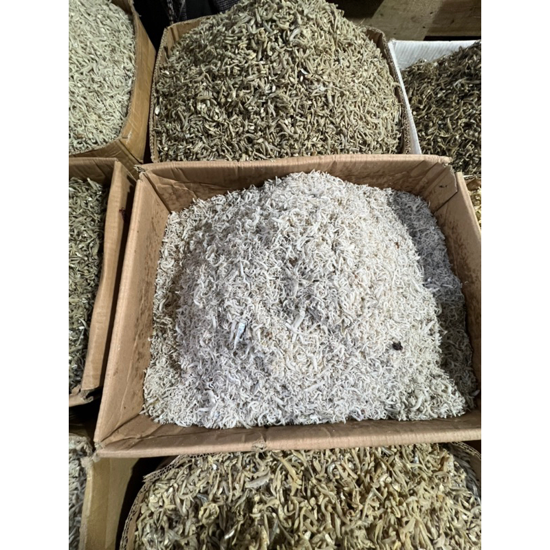 

teri nasi super