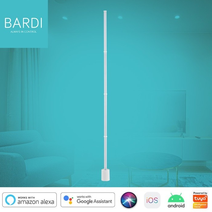 BARDI Standing RGB Flow Light