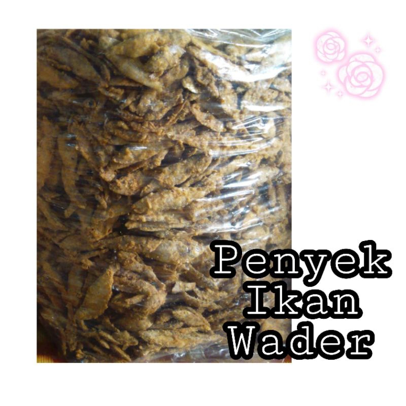

peyek wader