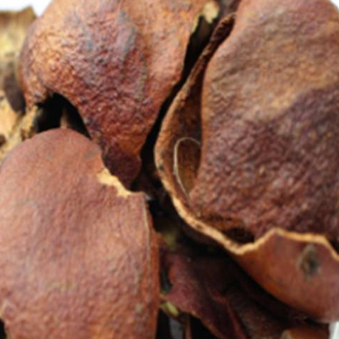 

TERBAIK JAMU KULIT DELIMA KERING -250 GRAM